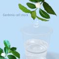 The original fragrance of gardenia flower cells